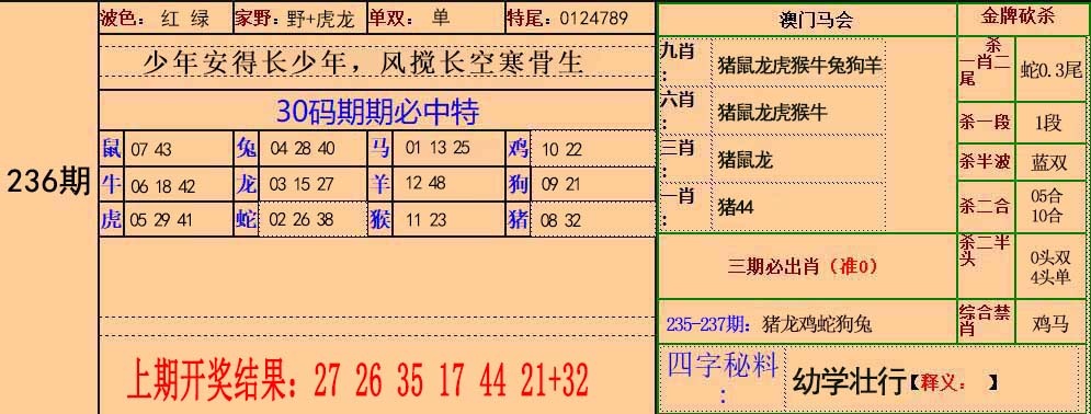30码中特